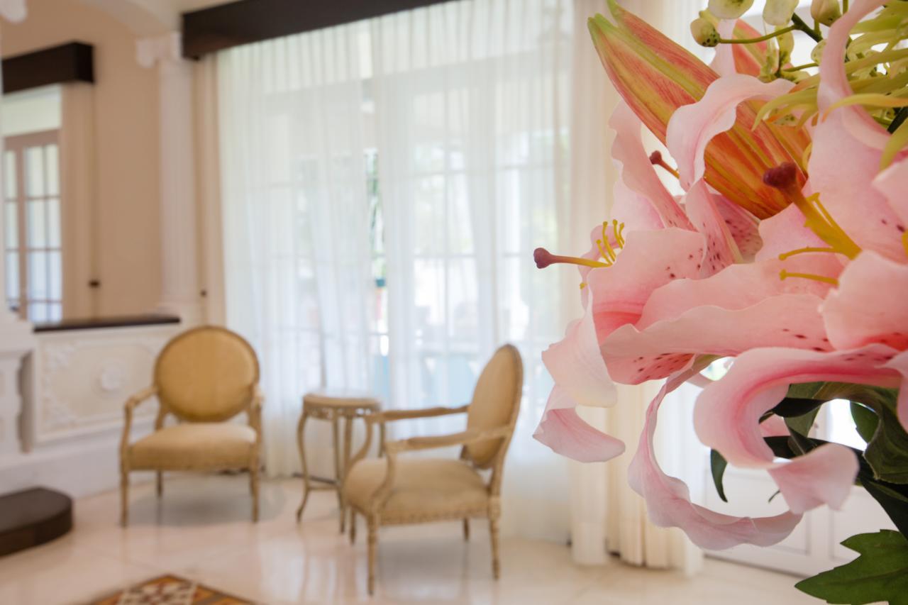 Delfina Boutique Hotel 梅里达 外观 照片