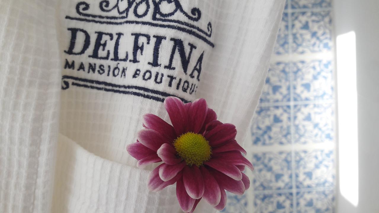 Delfina Boutique Hotel 梅里达 外观 照片